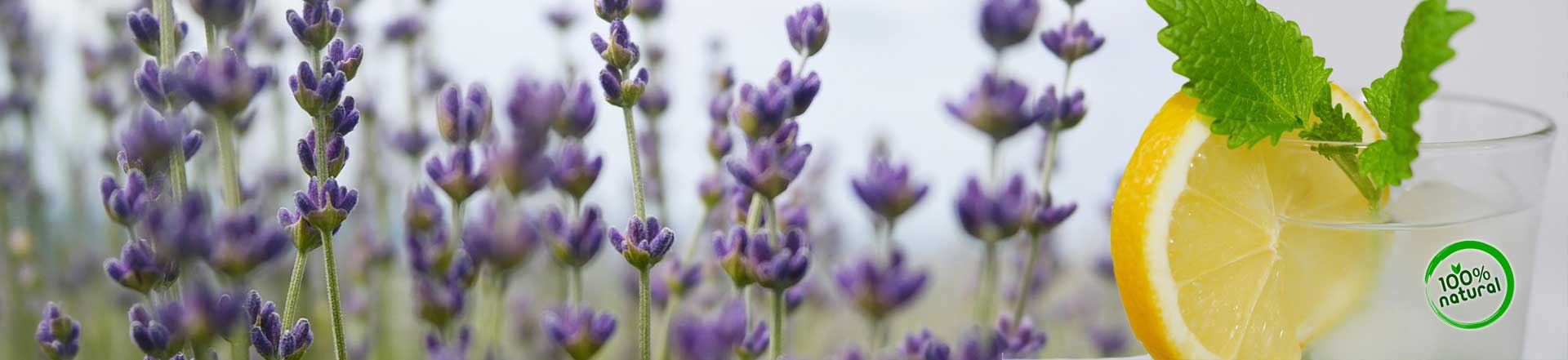 BioProphylaxe | Zahnärzte an der Bürgerwiese Dresden